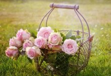 Как отметят Международный женский день в Алматы