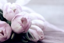 Стало известно, какие цветы у казахстанцев пользуются спросом