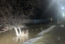 Талые воды могут затопить республиканскую трассу в Абайской области (ВИДЕО)