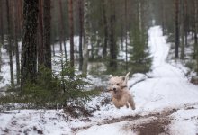 В Казахстан возвращаются 20-градусные морозы