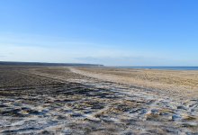 Аральская надежда