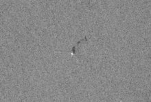 Снимок с пятнами на Каспии прокомментировали экологи