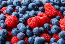 Налог на ягоды и грибы: сколько будут платить жители СКО