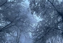 Пробки 11 баллов и "золотое" такси: метель обрушилась на Алматы