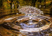 Как откачивали воду из подтопленных дворов в Жамбылской области