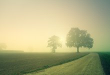 Мужчина заблудился в тумане в Актюбинской области