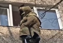 Пожарные Алматы спасли застрявшего в окне кота и стали звездами соцсетей