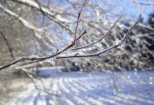 Дожди и туманы ожидаются в Казахстане 26 марта