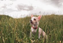 Ветер и осадки несет циклон в Казахстан