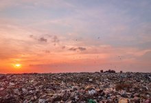 Операторы полигонов скрыли более 30 пожаров в Костанайской области