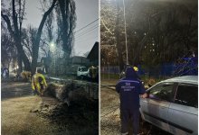 Отключение света, падение деревьев и сорванные крыши — последствия шторма в Алматы