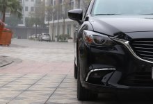 Алматинцев просят не парковать авто под деревьями