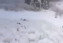 Лавина сошла недалеко от Шымбулака в Алматы