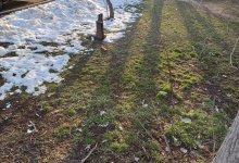 Неустойчивую погоду обещают казахстанцам в первый день апреля