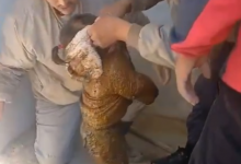 Двухлетний ребенок провалился в уличный туалет в Мангистау