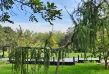 Знать, чтобы любить