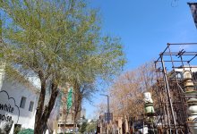 О погоде на 2 апреля рассказали синоптики