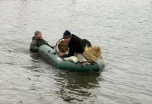 Режим ЧС объявили в ЗКО
