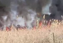 Камыши загорелись на границе Казахстана и Кыргызстана