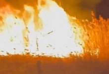 Огнеборцы Казахстана не смогли "добить" пожар из-за наличия границы