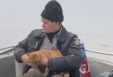 Мужчину с кошкой спасли из плена водной стихии в Акмолинской области