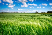 Скотомогильники обнаружили около сел в Актюбинской области