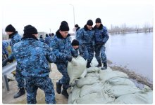 Более тысячи волонтеров откликнулись на призыв о помощи