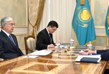 Токаев принял министра промышленности и строительства
