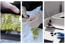 Распространителей наркотиков задержали в трех регионах Казахстана