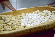 Назад, к полезным истокам!