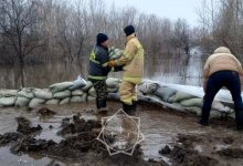 Границы поселка Жибек Жолы укрепляют в Акмолинской области