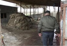 Сельчане жалуются на трупный запах в Жетысуской области