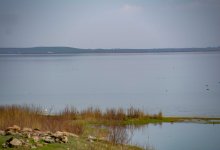 Берегоукрепительные работы ведут в ЗКО