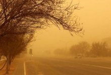 Гололед и пыльную бурю прогнозируют синоптики 12 апреля в Казахстане