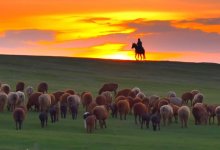 Завораживающий закат в степи восхитил казахстанцев (ВИДЕО)