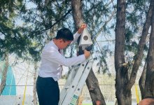 Дети Алматы установили более тысячи скворечников во дворах школ