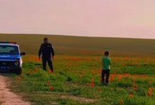 Самый дорогой сториз в Казахстане сняла девушка из Туркестанской области