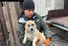 Алматинские спасатели помогают пострадавшим в паводках в СКО