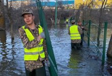 Наказать виновных в наводнении требует депутат