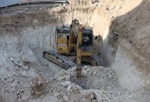 Застройщик выкорчевал деревья в Актау