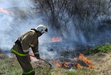 Возгорания травы и мусора участились в Казахстане в апреле