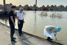 Оценен риск заражения в зоне паводков в Атырауской области