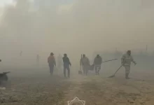 По факту лесного пожара в Алматинской области возбудили уголовное дело