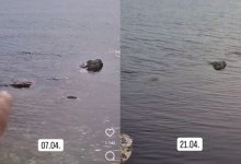 Скрылись камни: житель Актау фиксирует повышение уровня Каспийского моря (ВИДЕО)