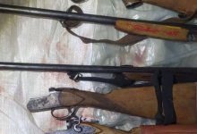 Отстрелили 58 косуль: браконьеры получили от 8 до 11 лет тюрьмы в Петропавловске