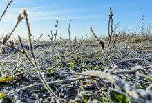 Пожарную опасность и заморозки прогнозируют синоптики 27 апреля в РК