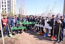 Сенаторы поддержали акцию "Таза Қазақстан"