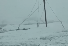 В Жамбылской области выпал снег