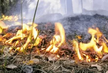 Пожарная опасность сохраняется на большей части Казахстана