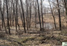 Какой будет погода в Казахстане 2 мая